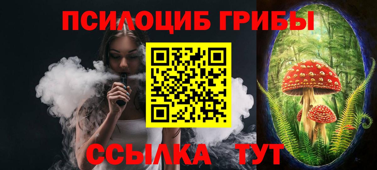 Галлюциногенные грибы Psilocybe  Вход с VPN  Псилоцибиновые грибы мухоморы  Родники 